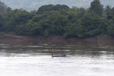 Lone boat in calm lake against trees in forest