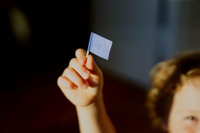 Cropped image of boy holding european flag