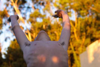 Midsection of shirtless man with arms raised standing against trees