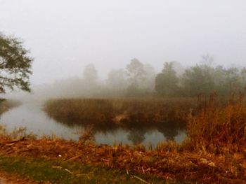 Scenic view of lake in forest against sky