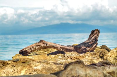 Close-up of rocks by sea against sky