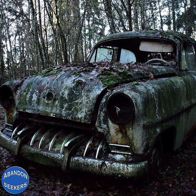 abandoned, obsolete, old, transportation, damaged, run-down, deterioration, land vehicle, mode of transport, rusty, tree, car, old-fashioned, metal, machinery, weathered, day, stationary, bad condition, outdoors