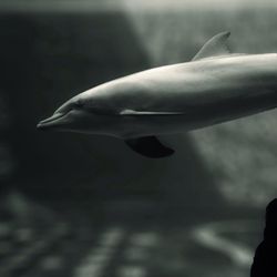 Cropped image of man