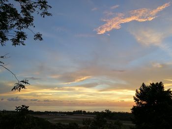 Low angle view of silhouette trees against sky at sunset