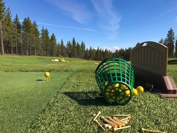 Multi colored ball on field against trees