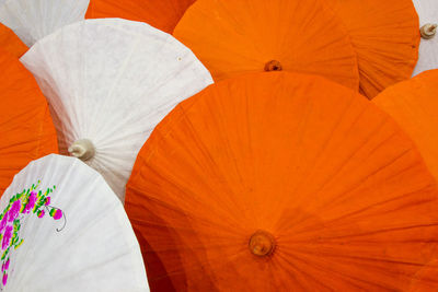 Full frame shot of orange flower