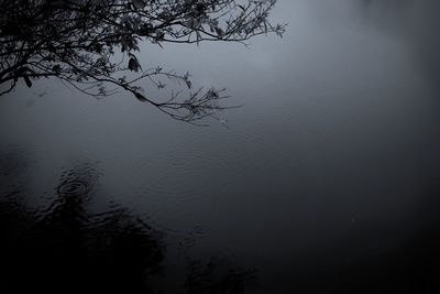 Reflection of tree in lake against sky