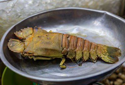 Close-up of food in plate