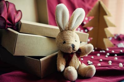 Close-up of stuffed toy in box