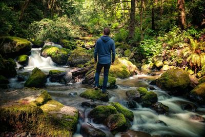 Rear view of man standing on rock in river