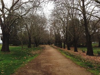 Road amidst trees against sky