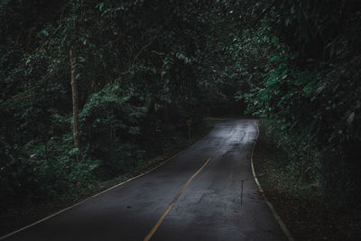 Empty road amidst trees in forest