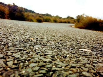 Surface level of autumn leaves on landscape against sky