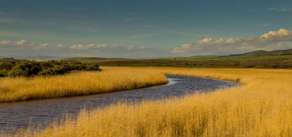 Panoramic view of stream along landscape