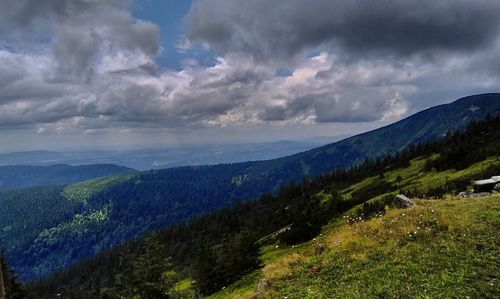 Scenic view of landscape against sky