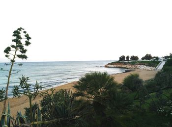 Scenic view of sea against clear sky