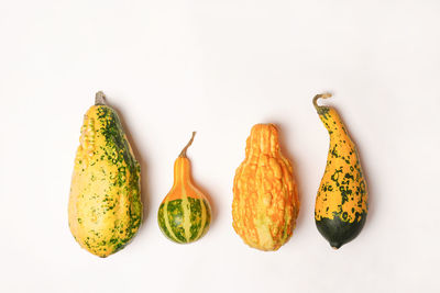 Close-up of vegetables against white background