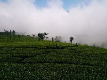 Scenic view of grassy field against cloudy sky