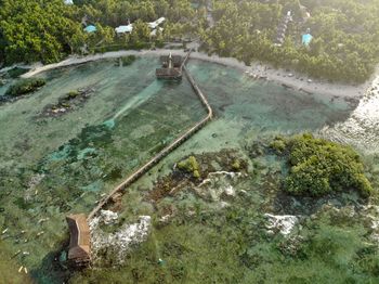 High angle view of river flowing through plants