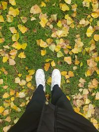 Low section of person standing on field during autumn