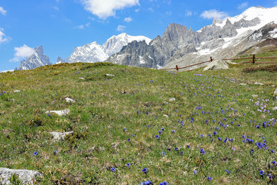 Scenic view of grassy field by mountains against sky