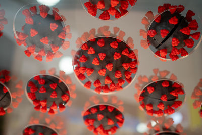 Close-up of christmas decorations
