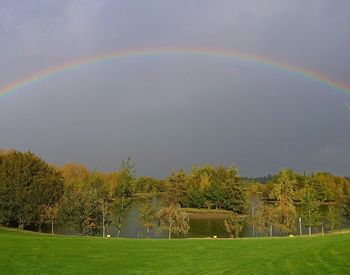 Rainbow over trees against sky