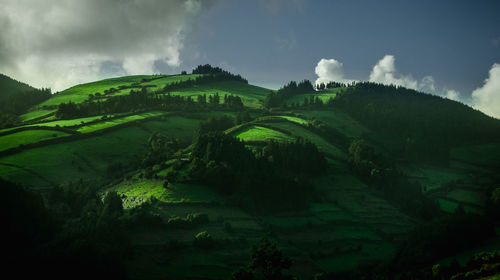 Scenic view of agricultural field against sky