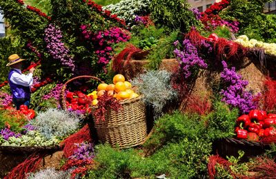 Full frame shot of fruits in basket on tree