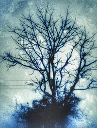 Digital composite image of bare tree against sky