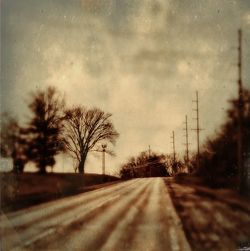 Road passing through bare trees