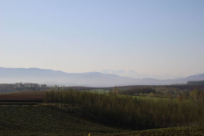 Scenic view of field against clear sky