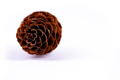 Close-up of ice cream over white background