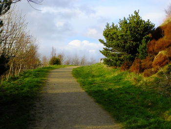 Road passing through grassy field