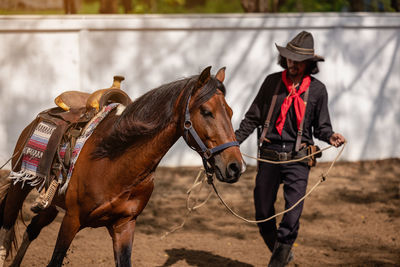 In an outdoor barn, one man dressed as a cowboy trains his horse to run in a circle around him.