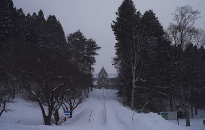 Trees on snow covered land against sky