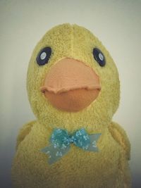 Close-up portrait of stuffed toy against gray background