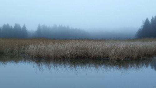 tranquil scene