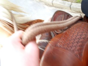 Close-up of hands on car