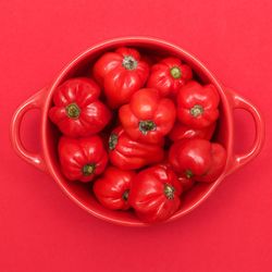 Close-up of red fruit over white background