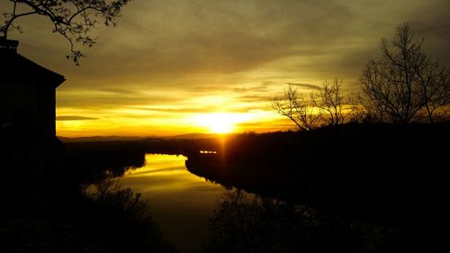 Silhouette of trees at sunset