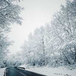 Road amidst bare trees against sky during winter