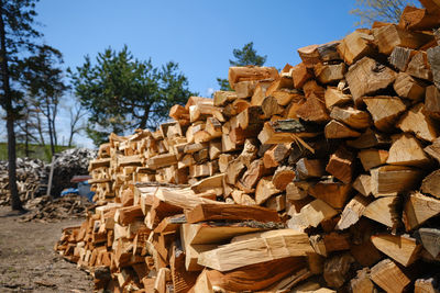 Stack of logs in forest against clear sky