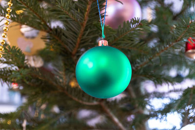 Close-up of christmas decoration hanging on tree