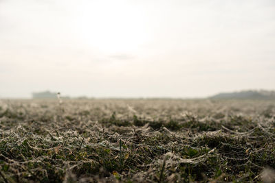 Surface level of land against sky