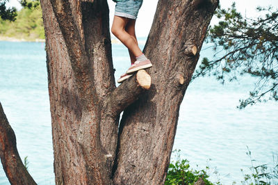 Midsection of woman with tree trunk in lake