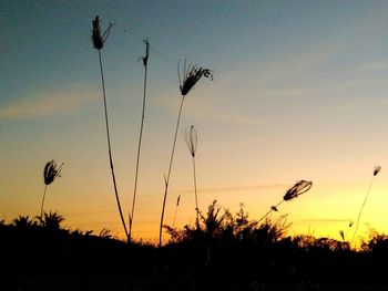 Silhouette plants on field against sky during sunset