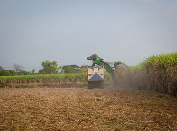 Scenic view of agricultural field against clear sky