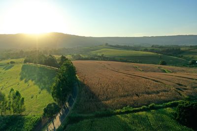 Panoramic view of rural life scene. countryside scenery.