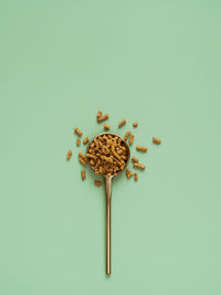 High angle view of breakfast on white background